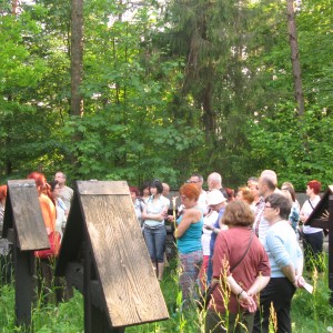 Cmentarz wojskowy nr 60 na Przełęczy Małastowskiej, fot. K. Kołodziejska (MIK, 2014) ©